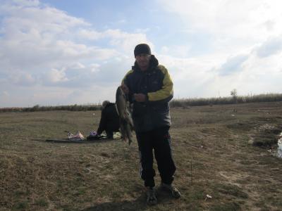 Прикрепленное изображение: IMG_0432.JPG